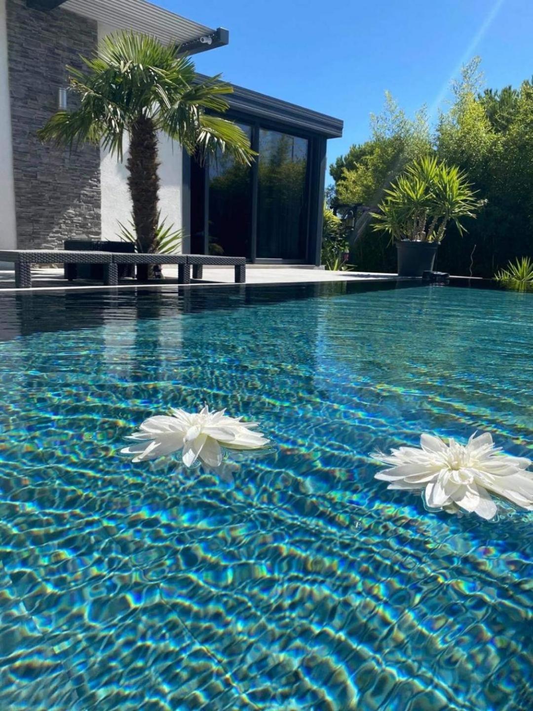 モサーヌ・レ・ザルピイユ Mon Petit Bali Bed & Breakfast エクステリア 写真